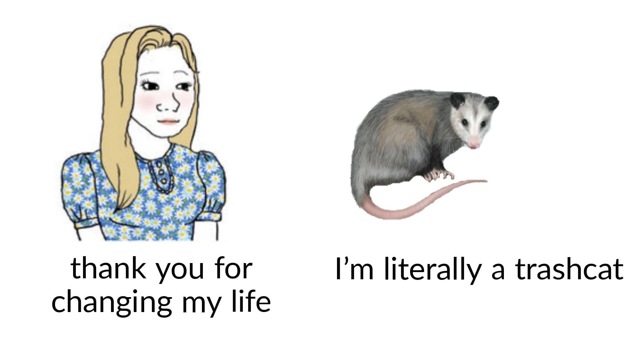 This meme is a humorous exchange between two individuals. The first person says "thank you for changing my life" and the second person responds with "I'm a trash can, I'm literally a trash can".